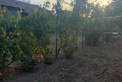 Casă cu 5 camere în Robănești - 9