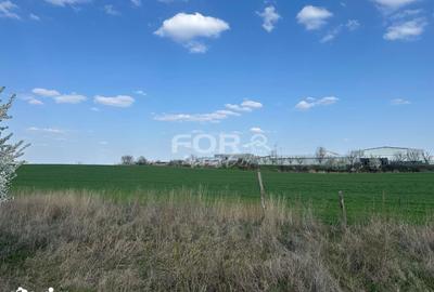 Teren de 1000 mp, în Calea Aradului