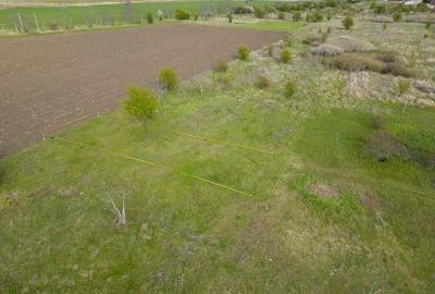 TEren intravilan Gradiste - 3