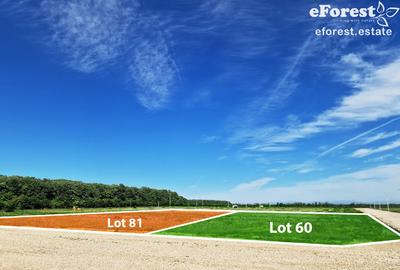 Loturi de vanzare, ce mai mic pret din zona! - 4