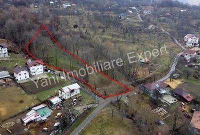 Teren de vanzare in comuna Arefu, jude? Arge?. - 4