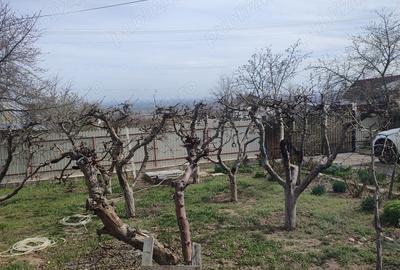 Vanzare casa curte sat Padureni com Jaristea Foc?ani - 3