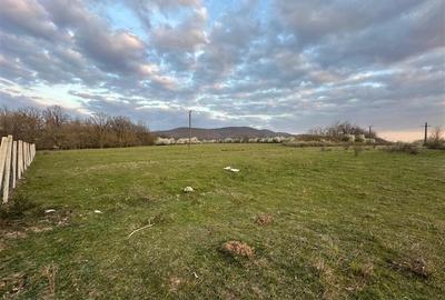 Teren Construcții intravilan de 10000 mp, în Sud - 11