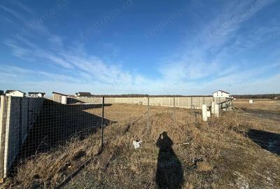 Teren de 745 mp, în Moșnița Veche - 1