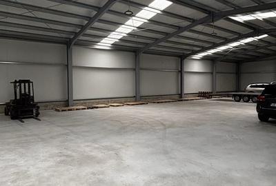 Spațiu industrial, de 590 mp, în Exterior Vest - 4