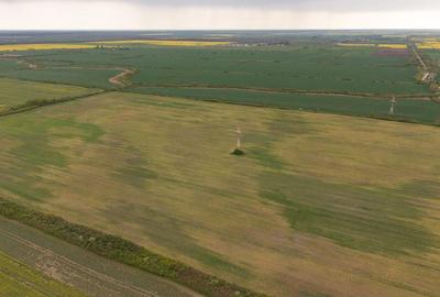 Teren agricol extravilan de 44700 mp, în Exterior Vest - 6