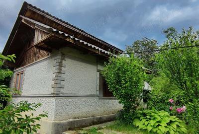 Casa de vanzare 140 m - teren de 2 400 m - sat Tronari, Judetul Buzau - 5