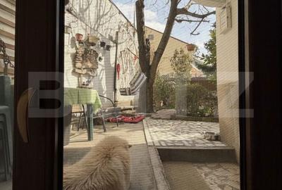 Casă cu 3 camere cu Teren 178 Mp în Valea Rosie - 11