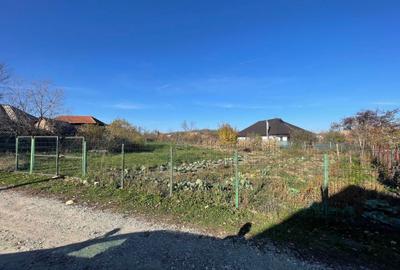 Spațiu comercial, în Mușătești - 6