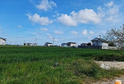 Teren de vanzare in Tuzla zona Castelul de Apa - 7