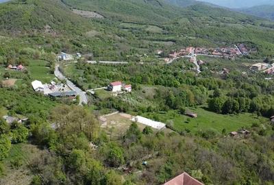 Teren intravilan 2500 mp cu vie, pomi ?i construc?ii Or?ova - 4