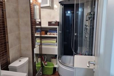 Inchiriere Apartament 3 camere Drumul Taberei Raul Doamnei - 6