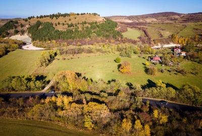 Teren agricol intravilan de 16000 mp, în Călățele - 5