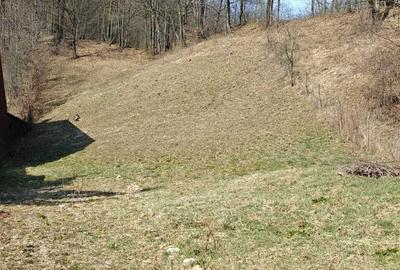 Teren de 1206 mp, în Exterior Vest - 4