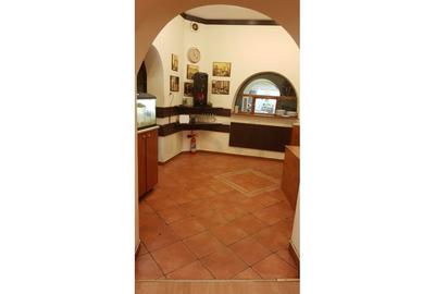 REV2002439 Vila Cismigiu pretabila restaurant - 8