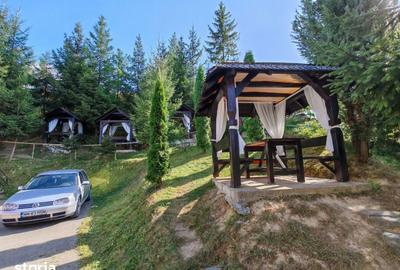 Casă cu Teren 2600 Mp în Moisei - 9