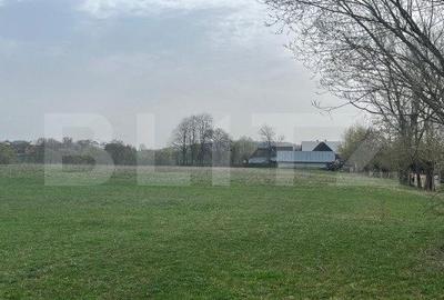 Spațiu comercial, în Marginea - 2