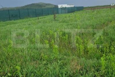 Teren pentru casa intravilan , 800 mp deschidere la drum Bod - 1