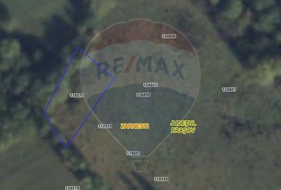 Teren Construcții intravilan de 480 mp, în Tohănița - 8