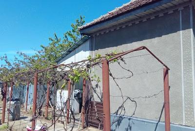 Casă cu 3 camere cu Teren 1080 Mp în Macea - 10