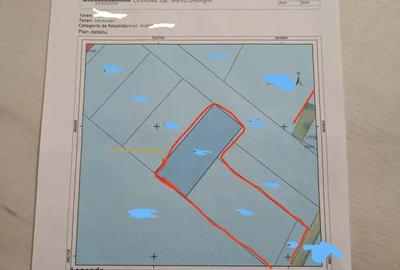 De vanzare teren intravilan construibil in Sfantu Gheorghe - 3