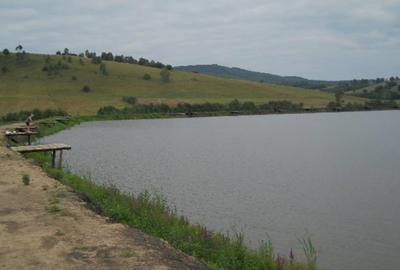 Teren în Central - 1