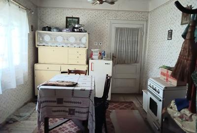 Brebu Megiesesc, casa + teren - 7