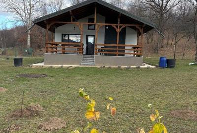 Casă cu 4 camere cu Teren 1700 Mp în Podul Corbului - 6