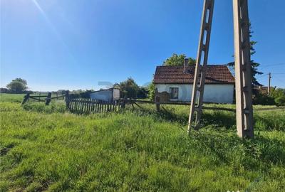 Casă cu 2 camere cu Teren 3462 Mp în Borș - 2