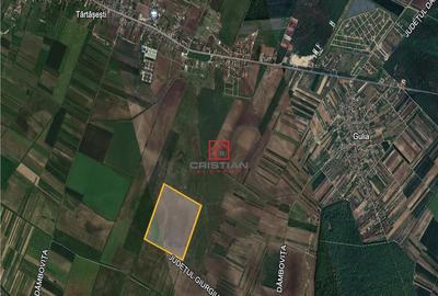 Teren agricol Tartasesti - Gulia, Dambovita - 2