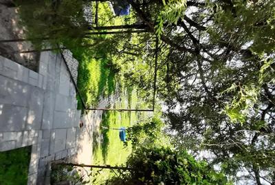 Casă cu 4 camere cu Teren 1101 Mp în Becicherecu Mic - 8