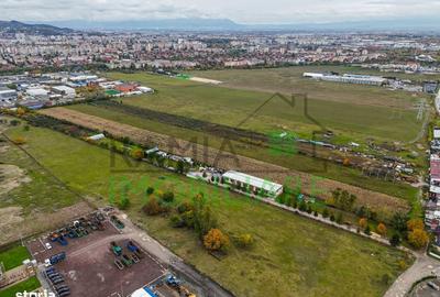 Spațiu comercial, în Tractorul - 3