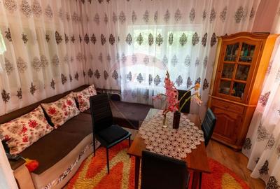 Casă individuală cu 3 camere cu Teren 9995 Mp în Ormindea - 17