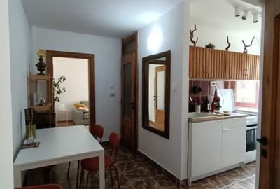 Apartament 3 camere Baile Herculane - 8