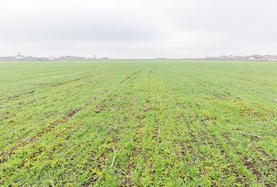 CERNICA - POSTA - TEREN INTRAVILAN CONSTRUCTII 15000 MP! - 10