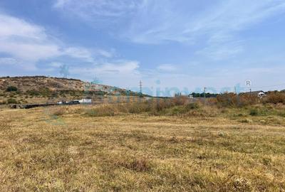 Teren Construcții intravilan de 500 mp, în Betfia - 2