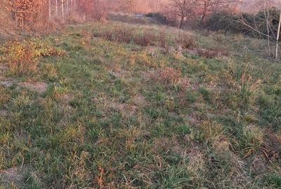 Spațiu comercial, în Est - 7