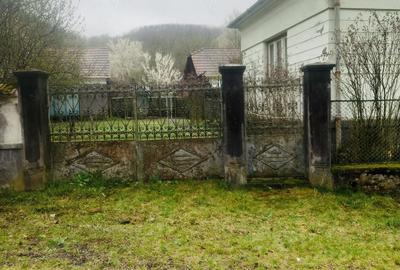 Casă cu 12 camere cu Teren 25000 Mp în Glodghilești - 2