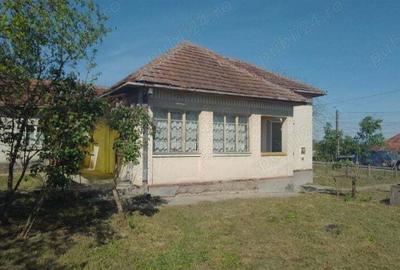 Casa in Viile Satu Mare cu 41 ari teren - 4