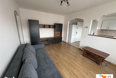 Apartament cu 2 camere semidecomandat în Cetate - 10