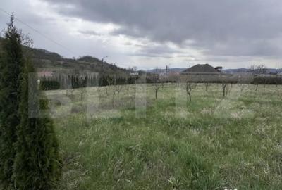 Casă cu 3 camere cu Teren 2900 Mp în Dej - 5