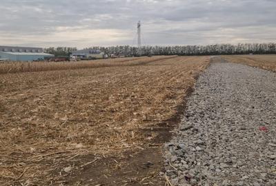 COMISION O%! Frumusani - Teren mixt, de vânzare - 1