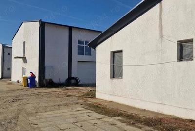 Inchiriez hala de depozitare Arad- Inchiriez hala de depozitare Arad- - 2