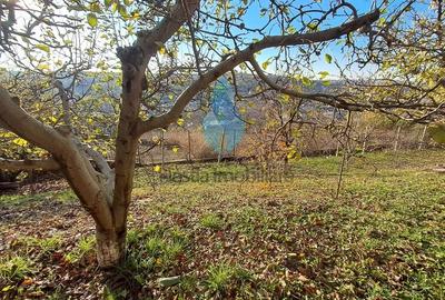 Casă cu 7 camere cu Canalizare în Bucium - 3