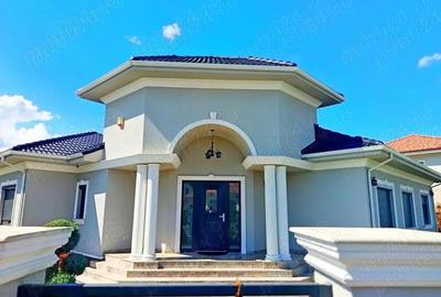 Sacalaz - casa de vanzare - 13