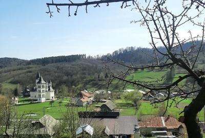 Casă cu 3 camere în Slătioara (Râșca) - 6