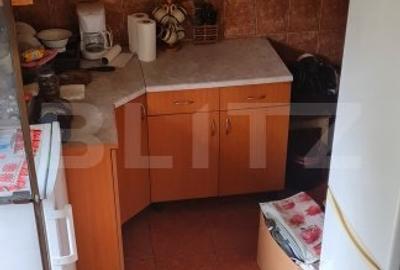Oportunitate! Casa Bod pe un singur nivel, teren 980 mp pivnita, garaj ,mobilata - 13
