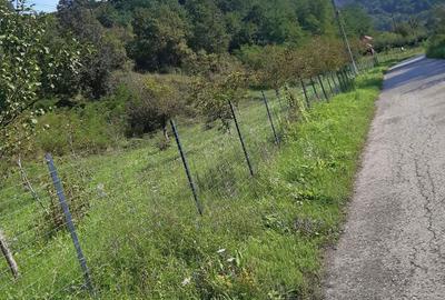 Teren de 7000 mp, în Voia - 7