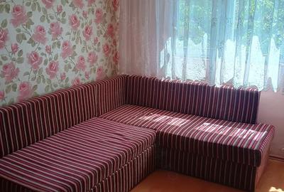 Apartament cu 2 camere decomandat în Nufărul - 5