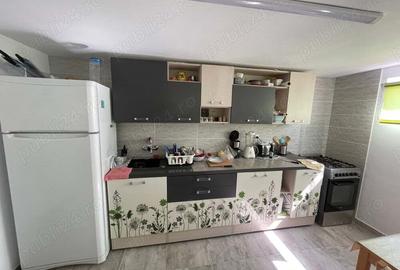 Casa vacanta langa lac Murighiol Casa vacanta langa lac Murighiol - 2